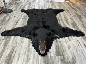 Read more about the article How to Maintain & Care for Your Bear Rug