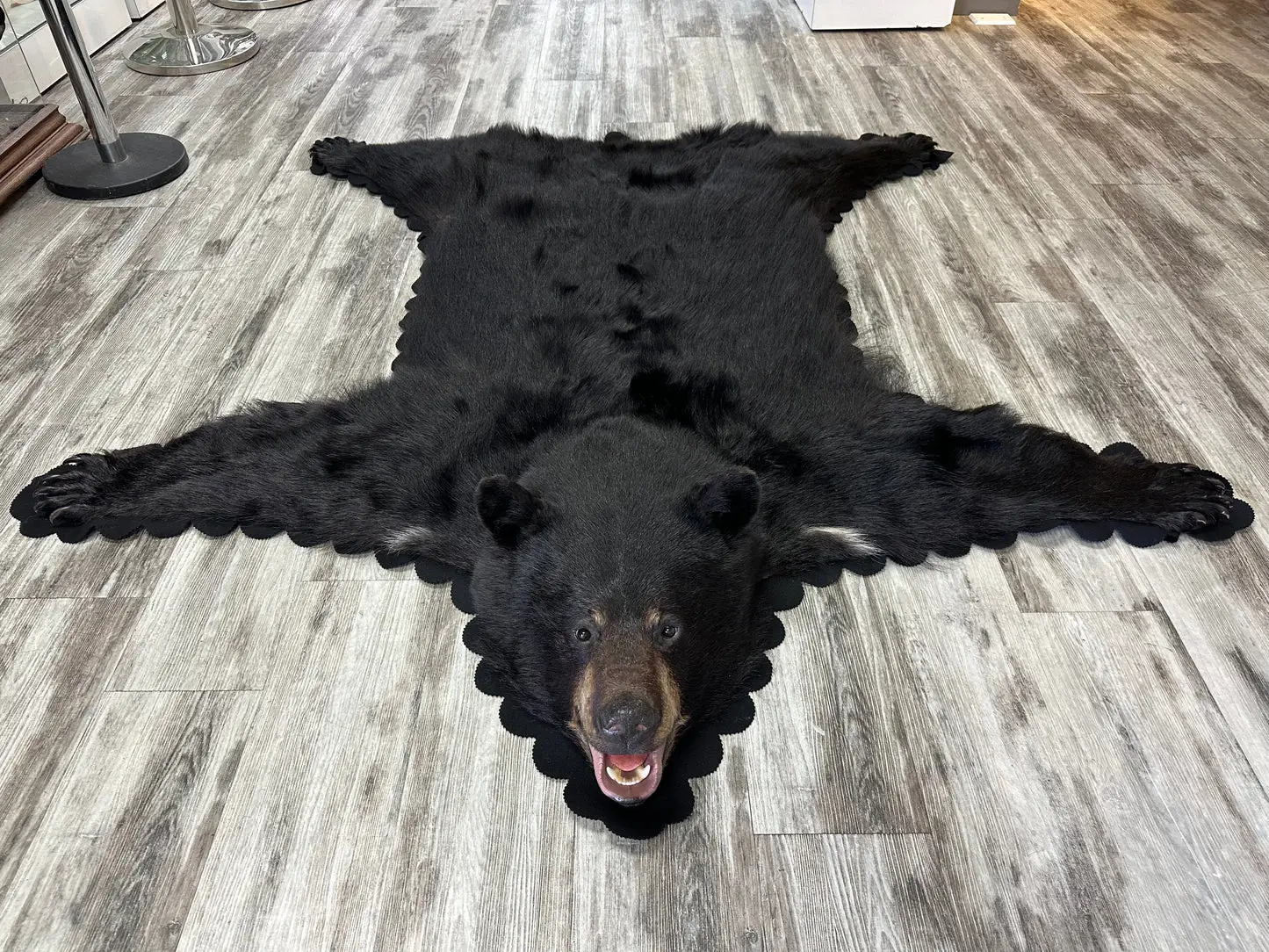 You are currently viewing How to Maintain & Care for Your Bear Rug
